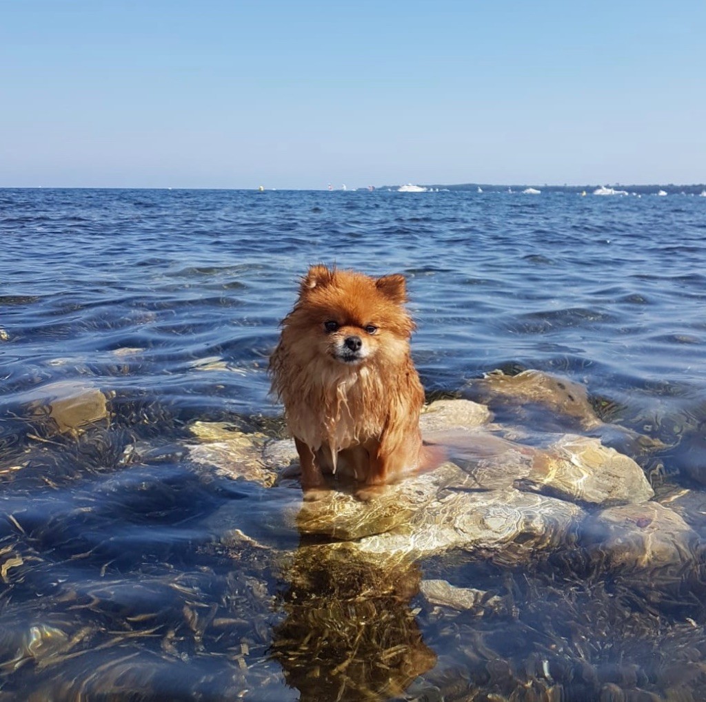 Du Baiser Volé - Mia à la plage ^^! 